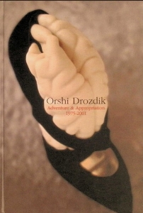 Orshi Drozdik : adventure & appropriation, 1975-2001